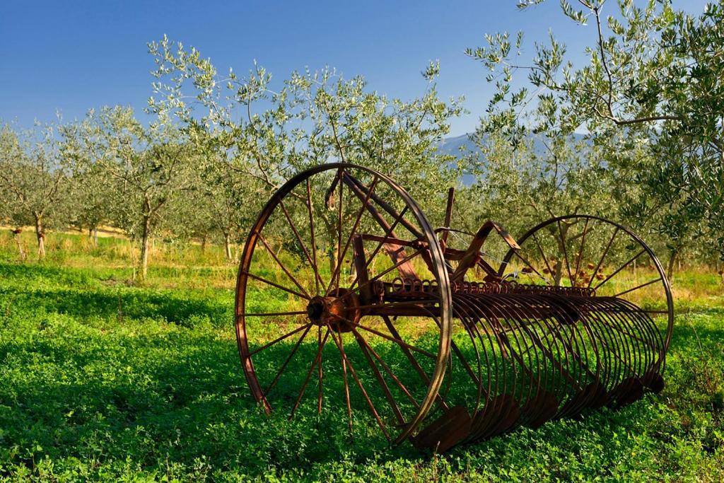 Agriturismo L'Ulivo In Fiore Spoleto Exterior photo
