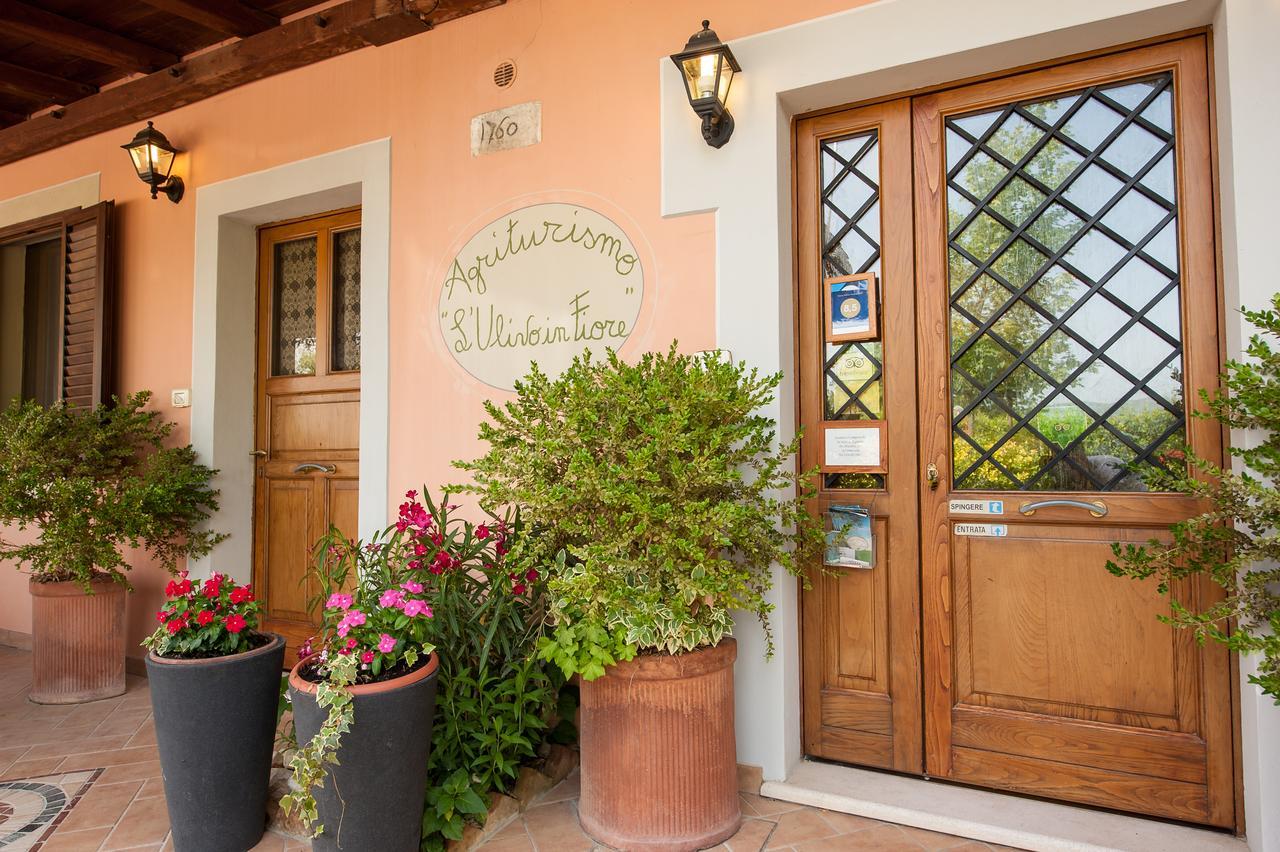 Agriturismo L'Ulivo In Fiore Spoleto Exterior photo